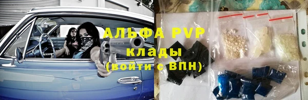 СК Алексин