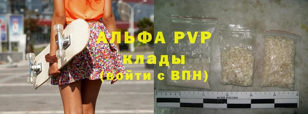 СК Алексин
