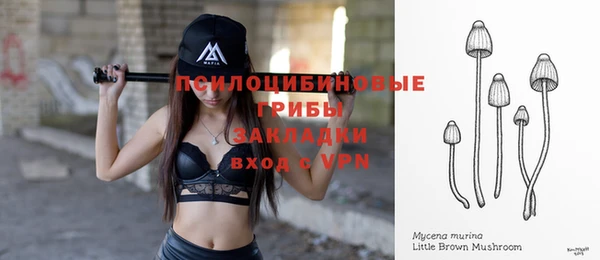 гидропоника Абаза