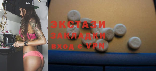 СК Алексин