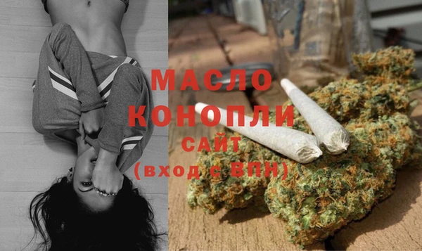 СК Алексин