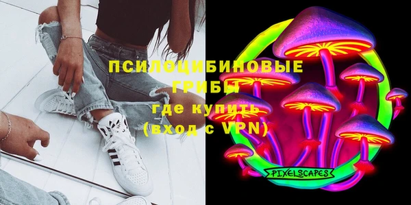 СК Алексин