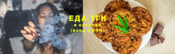 СК Алексин
