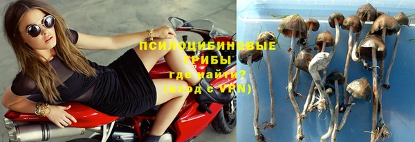 прущие крисы Алексеевка