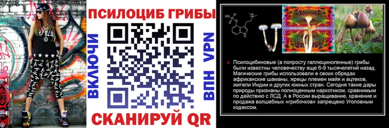 Псилоцибиновые грибы мицелий  MEGA ссылка  Ясный 